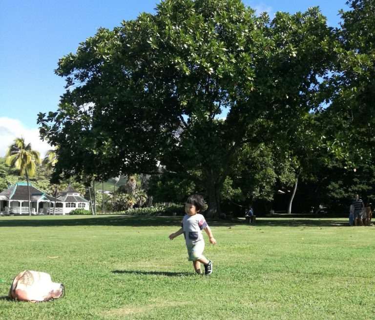 広すぎる公園に、子供達も笑顔が止まらず、走って遊んで、楽しみました。