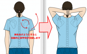 【肩こり&四十肩】実は密接な関係にある！？